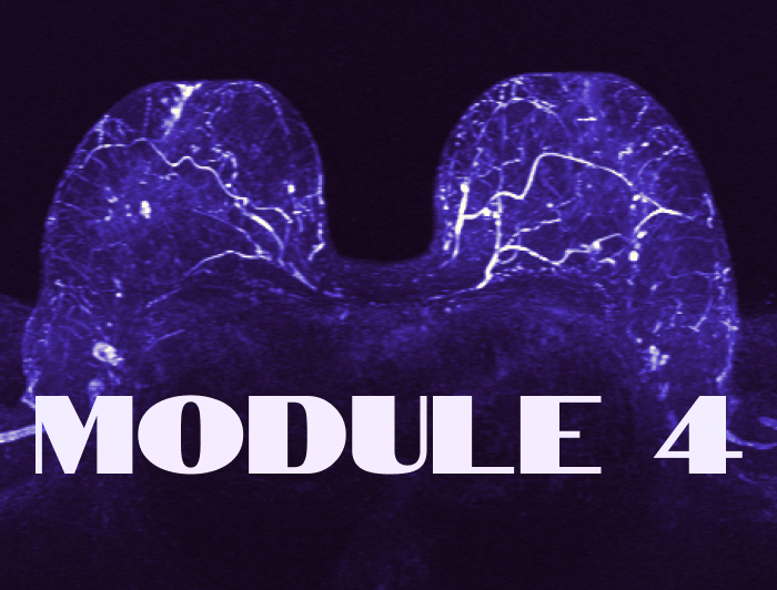 B2 and B3 lesions on an MRI course | Mammologicum